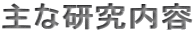 主な研究内容